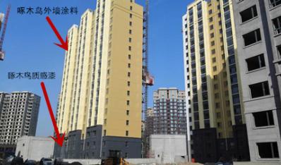 热烈祝贺啄木鸟涂料中标鑫阳家园外墙工程项目