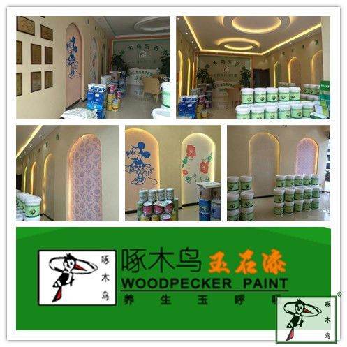 啄木鸟漆业集团 玉石漆 代理商 加盟商
