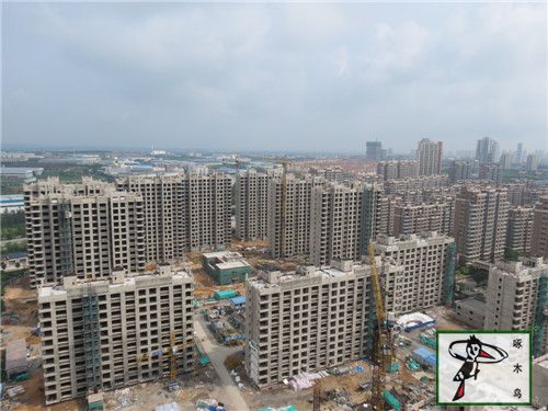  啄木鸟漆业集团 玉石漆 代理商  加盟商