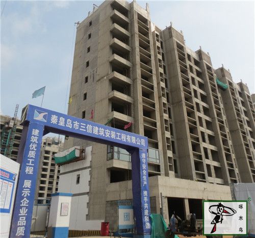  啄木鸟漆业集团 玉石漆 代理商  加盟商