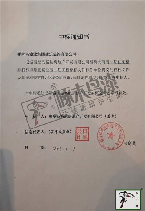 啄木鸟漆业集团 水包水 水包砂 环保涂料 涂料品牌