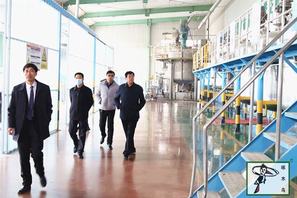 啄木鸟漆业集团 水包水 水包砂 保涂料 涂料品牌