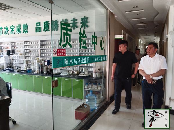 啄木鸟漆业集团 水包水 水包砂 保涂料 涂料品牌