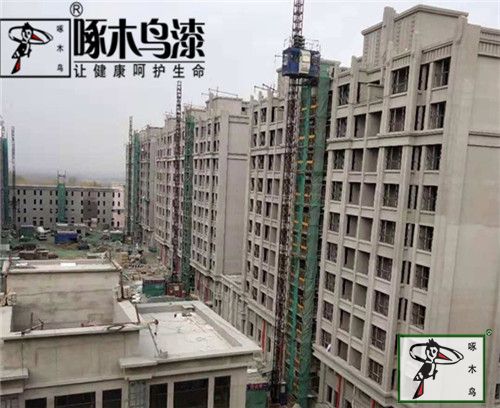 啄木鸟漆业集团 水包水 水包砂 环保涂料 涂料品牌