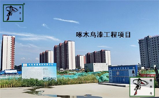 怀柔新城08街区安置房项目是由北京国奥集团有限公司开发，建设单位为中铁城建集团有限公司。工程地址：北京市怀柔区 东至安平东路，西至安平路，南至规划怀耿北路，北至前进路，该项目建筑面积100,004平米。怀柔新城08街区安置房一期工程项目全部使用啄木鸟浮雕弹涂自洁弹性外墙漆，现已竣工，这是啄木鸟漆在怀柔新城打造的形象工程。&nbsp;