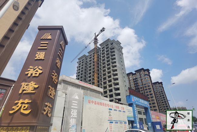 啄木鸟漆业集团 水包水 水包砂 保涂料 涂料品牌