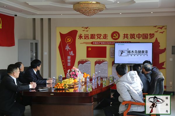 啄木鸟漆业集团 水包水 水包砂 保涂料 涂料品牌