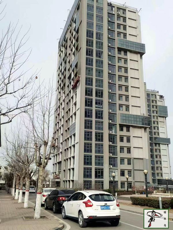 啄木鸟漆业集团 水包水 水包砂 保涂料 涂料品牌