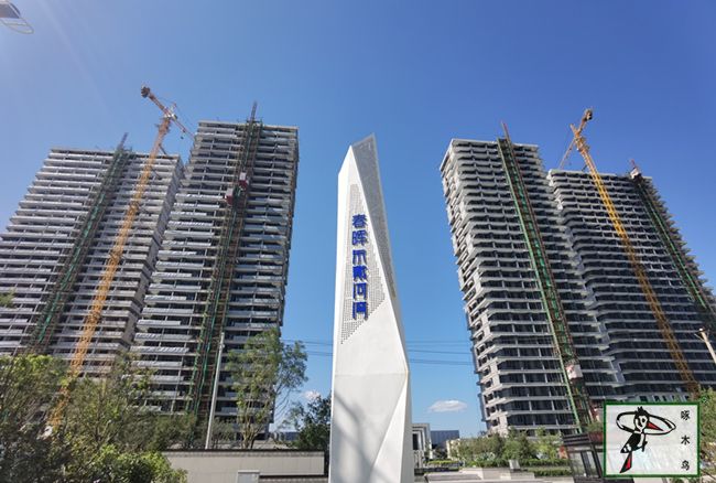 啄木鸟漆业集团 水包水 水包砂 保涂料 涂料品牌 真石漆 质感漆