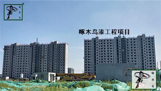 怀柔新城08街区安置房项目是由北京国奥集团有限公司开发，建设单位为中铁城建集团有限公司。工程地址：北京市怀柔区 东至安平东路，西至安平路，南至规划怀耿北路，北至前进路，该项目建筑面积100,004平米。怀柔新城08街区安置房一期工程项目全部使用啄木鸟浮雕弹涂自洁弹性外墙漆，现已竣工，这是啄木鸟漆在怀柔新城打造的形象工程。&nbsp;