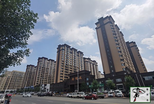 啄木鸟漆业集团 水包水 水包砂 保涂料 涂料品牌