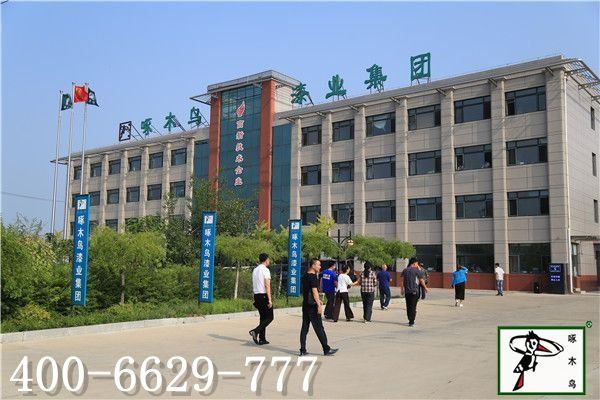 啄木鸟漆业集团 水包水 水包砂 保涂料 涂料品牌