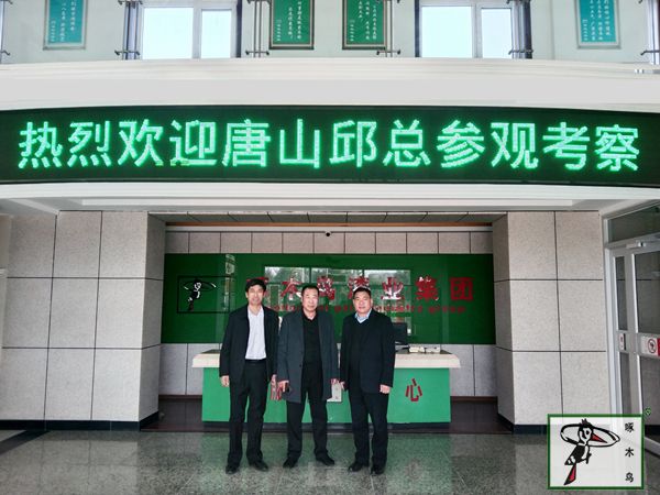 啄木鸟漆业集团 水包水 水包砂 保涂料 涂料品牌